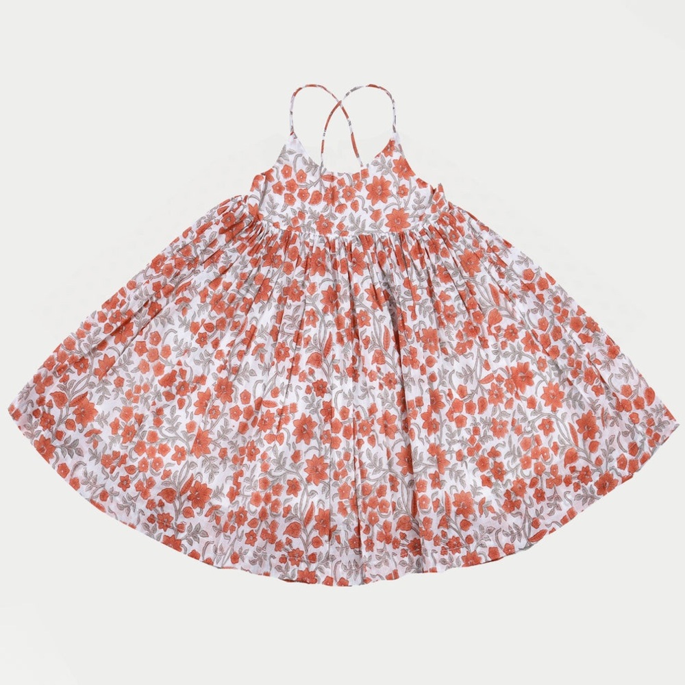 NWT Paisley Magic dress